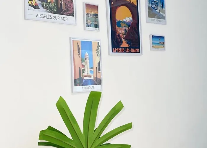 A Apartment Amelie-les-Bains-Palalda